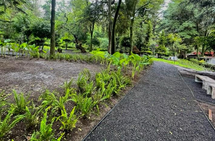 Parque Ecológico Loreto y Peña Pobre