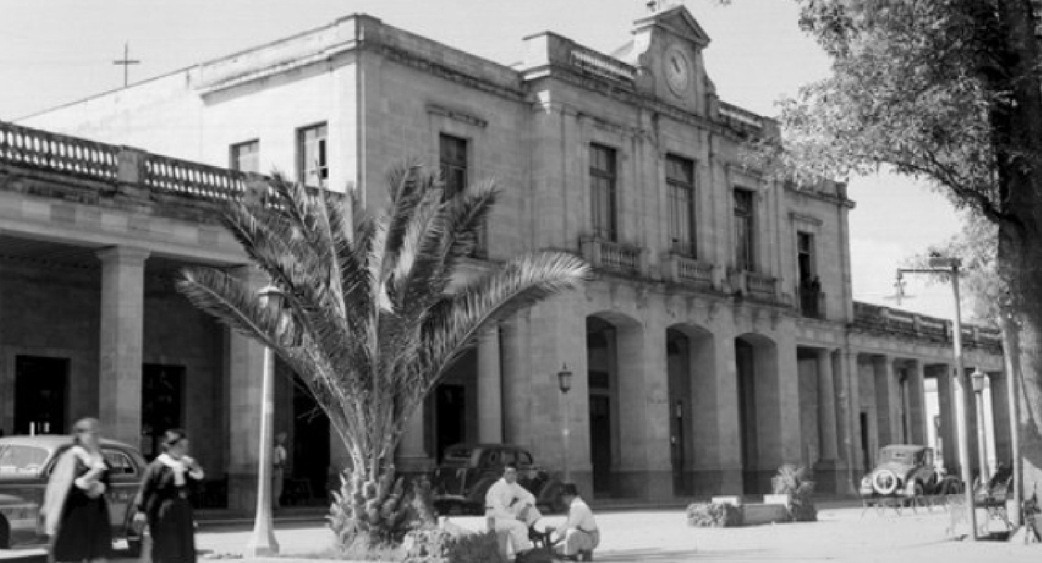 tlalpanMesa de trabajo 9-80